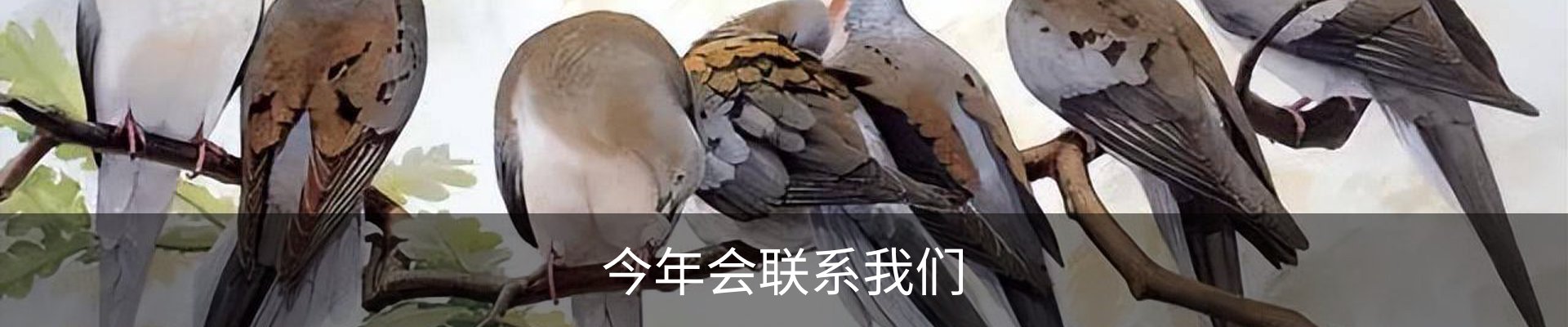 今年会联系我们