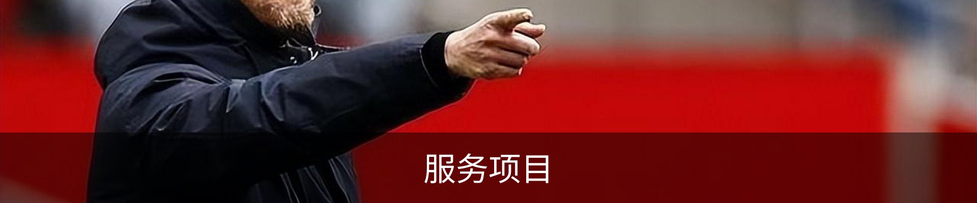服务项目