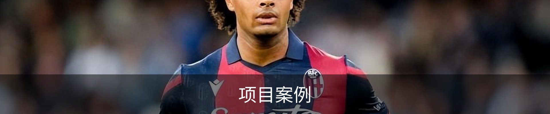 项目案例